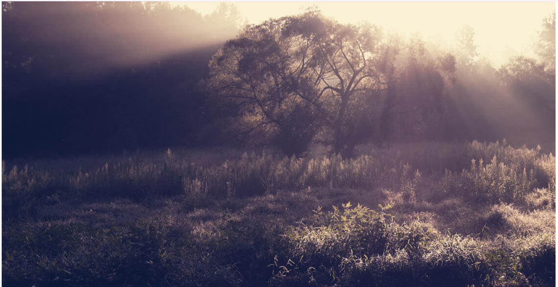 a glance at the past that moment when the portals were just closing as the dawn light shown over the glade where we needed to leave adventure behind...